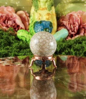 Fossiel koraal bol nr. 22