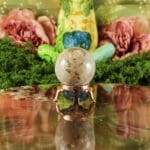 Fossiel koraal bol nr. 22-3