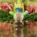 Fossiel koraal bol nr. 22-5