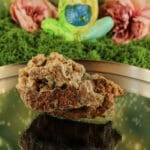 Garnieriet met druzy kwarts ruw nr. 1 - Afbeelding 2