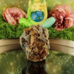 Garnieriet ruw nr. 3-2