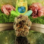 Garnieriet ruw nr. 3-4