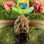 Garnieriet ruw nr. 3-6