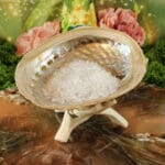 Abalone smudge schelp haliotis 12-16 cm - Afbeelding 10