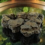 Ilmeniet ruw nr. 1-5