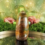 Oceaan jaspis sculptuur nr. 1-2