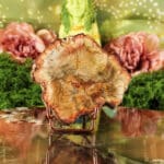 Versteend hout plak nr. 1