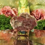 Versteend hout plak nr. 2-3