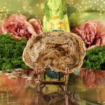 Versteend hout plak nr. 3 - Afbeelding 2