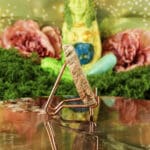 Versteend hout plak nr. 3-2