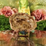 Versteend hout plak nr. 3-3