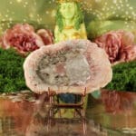 Versteend hout plak nr. 4