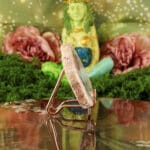 Versteend hout plak nr. 4-2