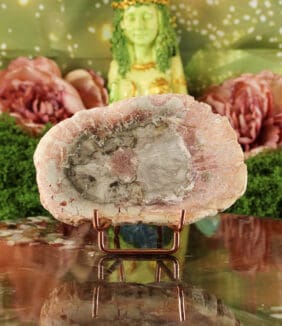 Versteend hout plak nr. 4