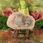 Versteend hout plak nr. 4-3