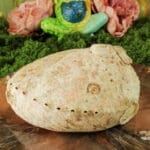 abalone smudge schelp haliotis 12-16 cm-3