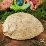 abalone smudge schelp haliotis 12-16 cm-4