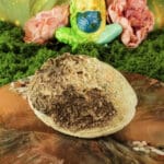 abalone smudge schelp haliotis 12-16 cm-9