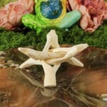 cobra standaard driepoot natuurlijk 10 cm-2