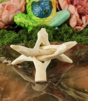 cobra standaard driepoot natuurlijk 10 cm-2