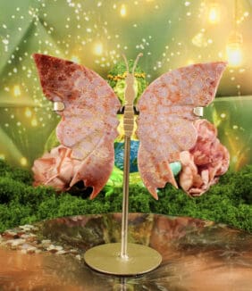 Fossiel koraal vlinder nr. 1