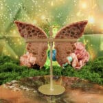 Fossiel koraal vlinder nr. 1-4