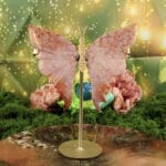 Fossiel koraal vlinder nr. 2