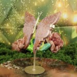 Fossiel koraal vlinder nr. 2-2