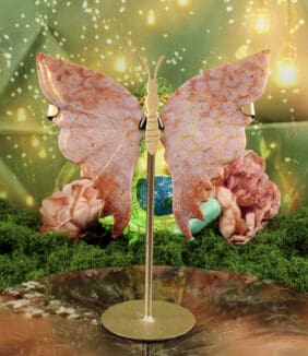 Fossiel koraal vlinder nr. 2