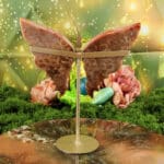 Fossiel koraal vlinder nr. 2-3