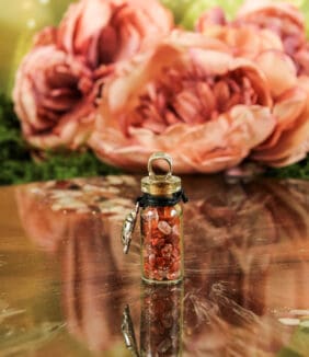 Geschenkflesje aan koord met carneool en lieveheersbeestje-2