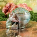 Orgonite schedel nr. 3-4