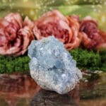 Celestien cluster nr. 2-2