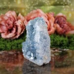 Celestien punt nr. 1-4