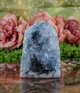 Celestien punt nr. 1