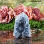 Celestien punt nr. 2 - Afbeelding 2