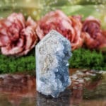 Celestien punt nr. 2-2