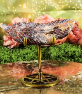 Crazy lace agaat veer nr. 1