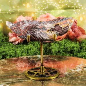 Crazy lace agaat veer nr. 1