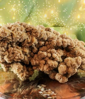 Woestijnroos ruw nr. 1