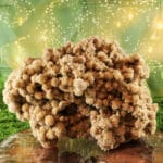 Woestijnroos ruw nr. 1-6