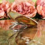 Agaat vlinder nr. 1-4