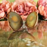 Agaat vlinder nr. 1-5