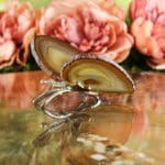 Agaat vlinder nr. 2-4