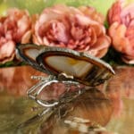 Agaat vlinder nr. 3-4