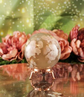 Bloemagaat bol nr. 1