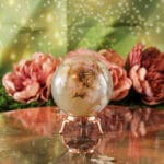 Bloemagaat bol nr. 1-5