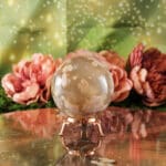 Bloemagaat bol nr. 1-6