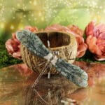 Mosagaat libelle nr. 1 - Afbeelding 2