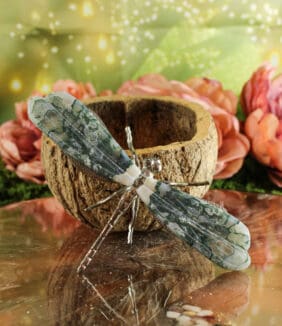 Mosagaat libelle nr. 1